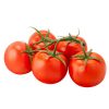 Tomato on the Vine