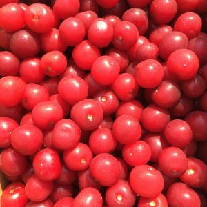 Sour Cherry Fresh