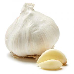 Russian Garlic large size